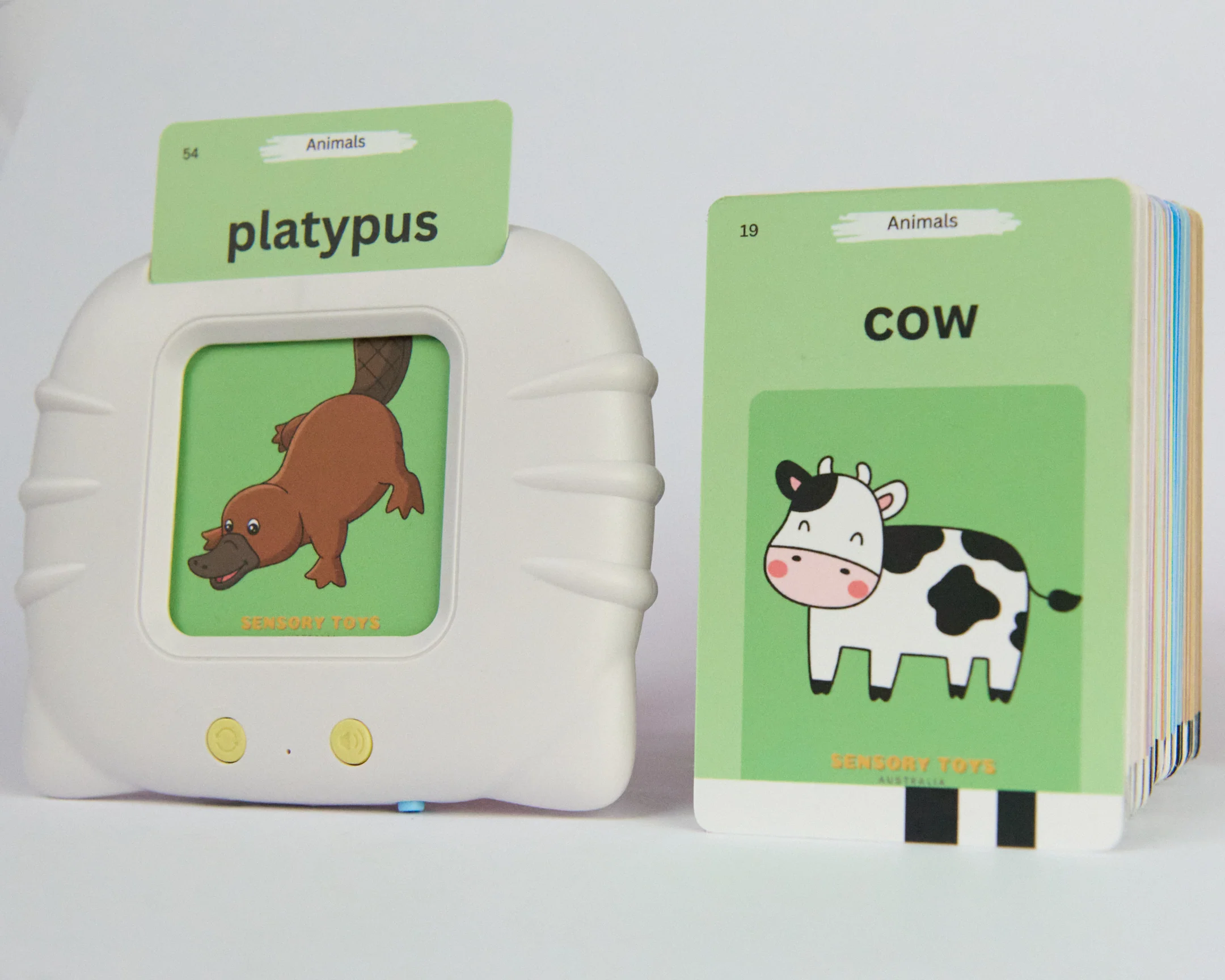 AussieMate™ - Australian Accent Audible Flashcard Device - Image 13